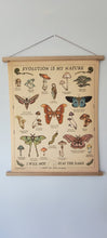 Load image into Gallery viewer, “Evolution Is My Nature” Moths &amp; Mushrooms | (Oak wood framed) Academic Poster | COLLECTION