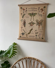 Load image into Gallery viewer, “The Complete Metamorphosis of The Faeus Magikus” | (Oak wood framed) Academic Mushrooms Poster COLLECTION