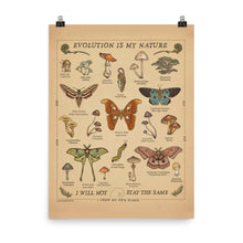 Load image into Gallery viewer, “Evolution Is My Nature” Moths &amp; Mushrooms | Academic Poster | COLLECTION