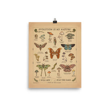 Load image into Gallery viewer, “Evolution Is My Nature” Moths &amp; Mushrooms | Academic Poster | COLLECTION