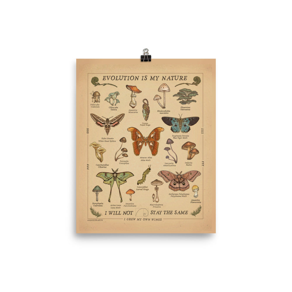 “Evolution Is My Nature” Moths & Mushrooms | Academic Poster | COLLECTION