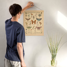 Load image into Gallery viewer, “Evolution Is My Nature” Moths &amp; Mushrooms | (Oak wood framed) Academic Poster | COLLECTION